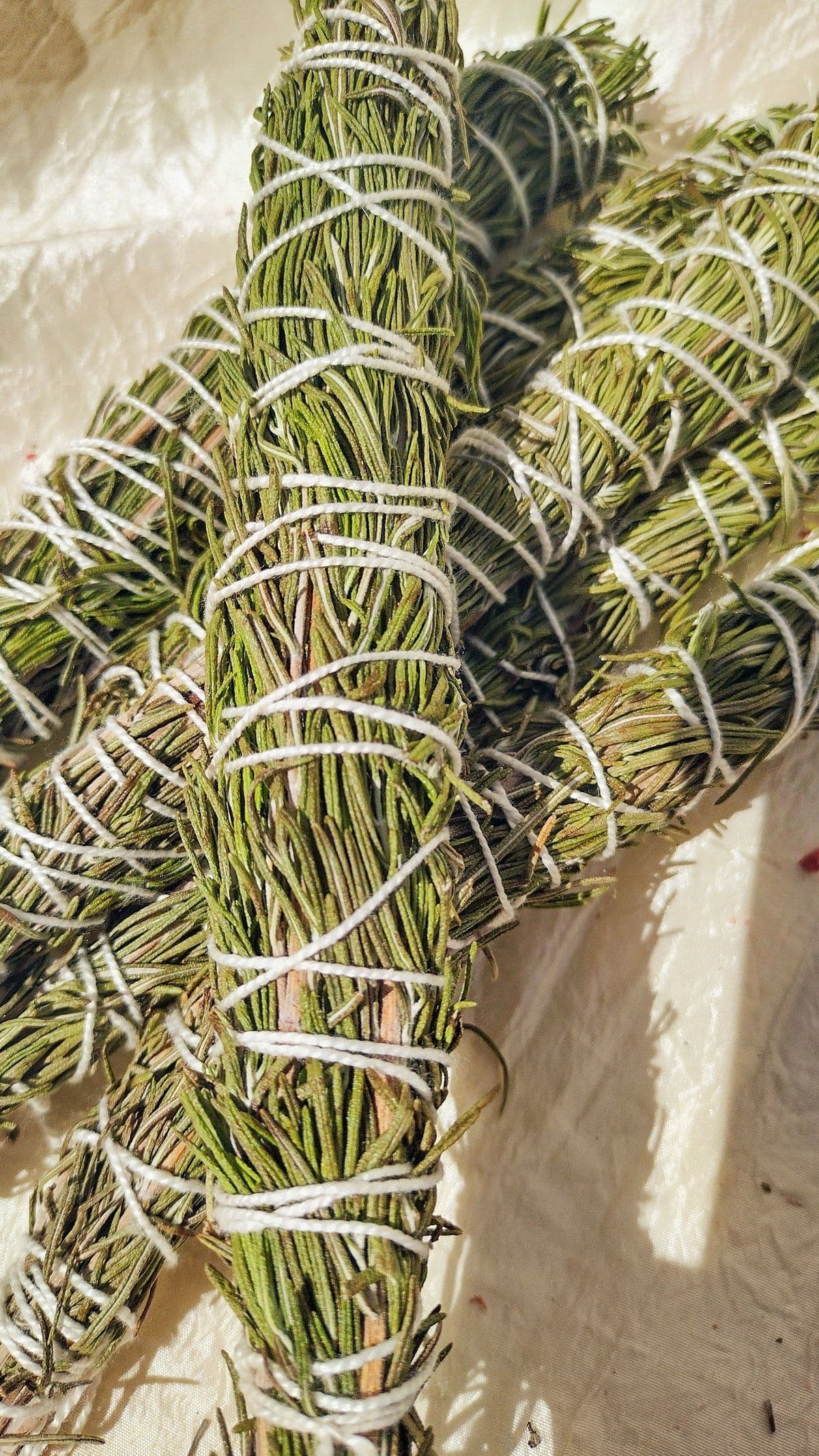 Bouquet de romarin à fumiguer