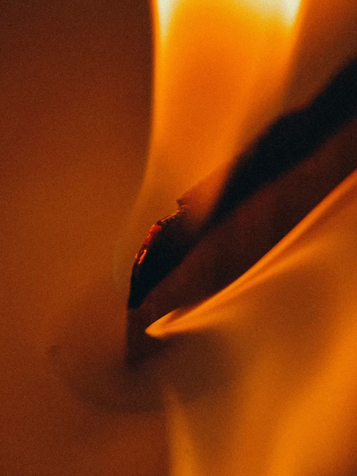 Éléments (air - eau - feu - terre) 